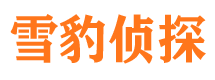 桃城市侦探调查公司